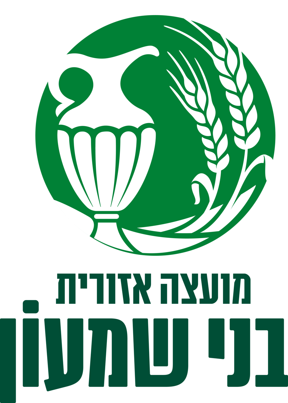 מ.א. בני שמעון