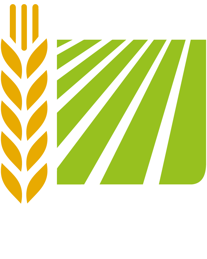 מ.א. אשכול